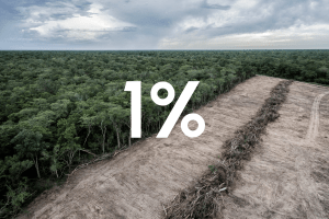 Un forêt sur la gauche et une déforestation sur la droite de l'image avec une vue aérienne